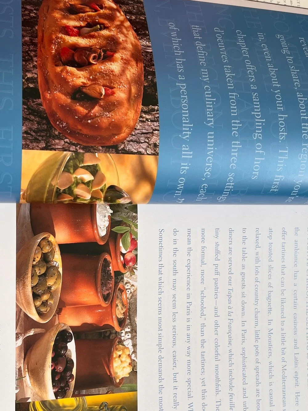 Ducasse Flavors of France Cookbook